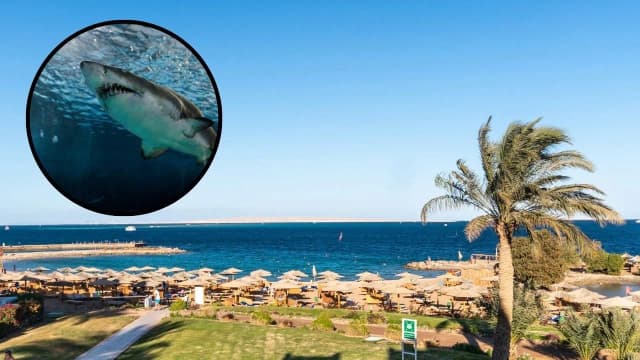 Larnaka czy jest bezpiecznie? Odkryj ukryte zagrożenia dla turystów