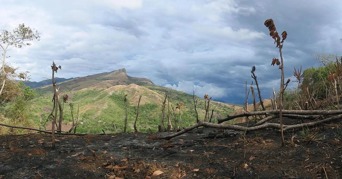 Gdzie w Afryce stosuje się rolnictwo żarowo-odłogowe i jego skutki