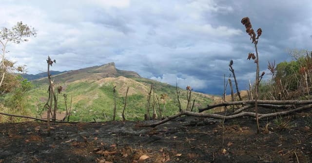 Gdzie w Afryce stosuje się rolnictwo żarowo-odłogowe i jego skutki