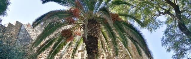 Ciepłe kraje w grudniu – gdzie uciec przed zimnem i chłodem? Ciepłe kraje w grudniu – gdzie uciec przed zimnem i chłodem?