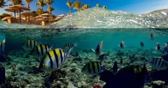 Czy Marsa Alam w Egipcie jest bezpieczna? Oto, co musisz wiedzieć