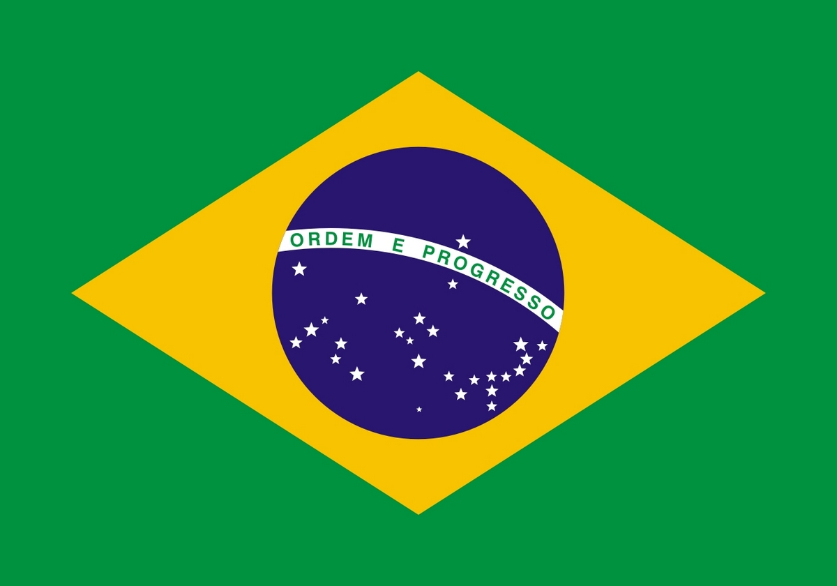 Flaga Brazylii / projekt