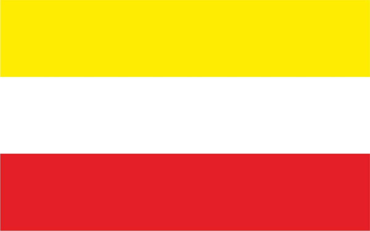 Flaga miasta Bielsko-Biała / projekt