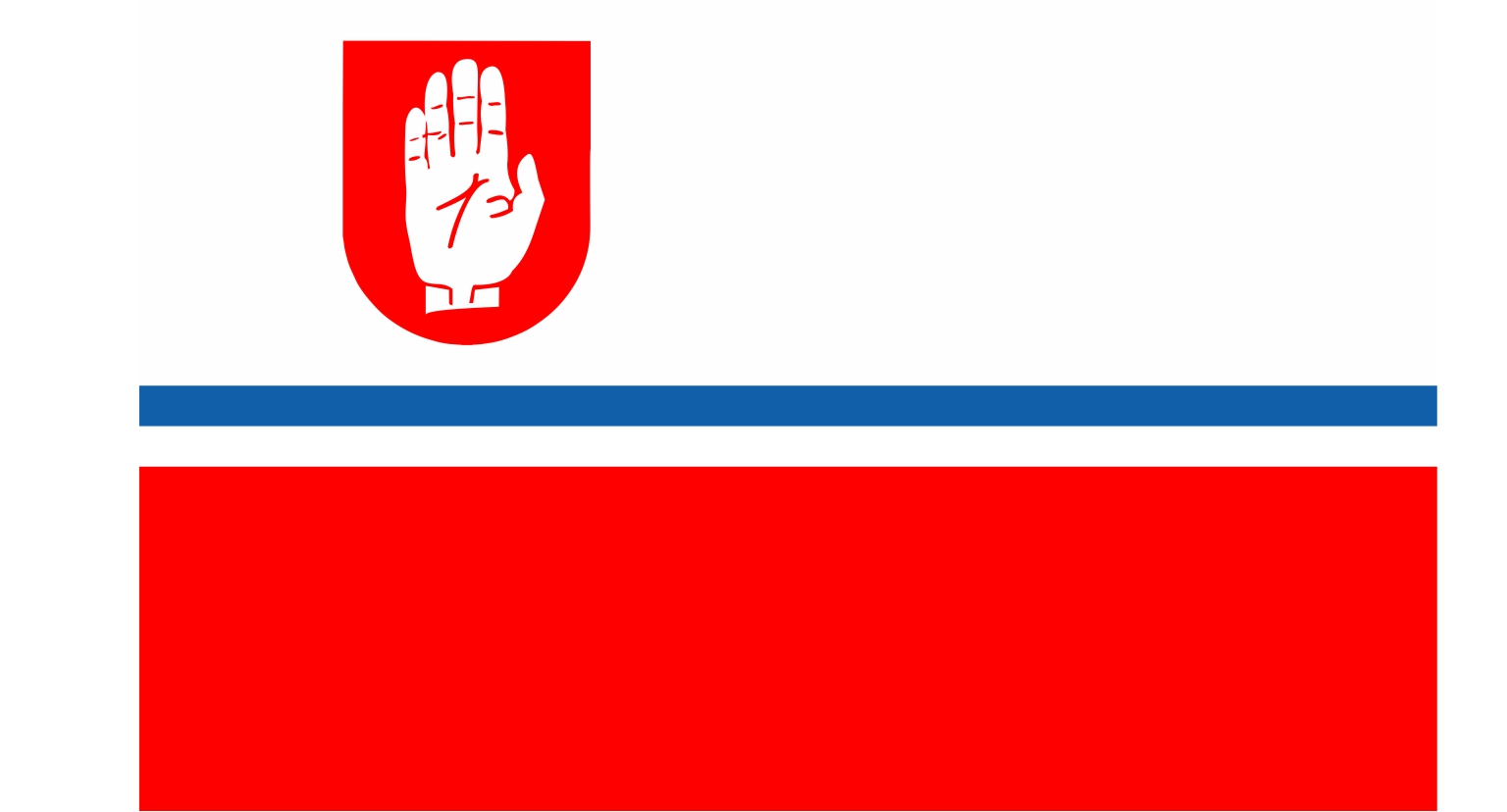 Flaga miasta Brodnica / projekt