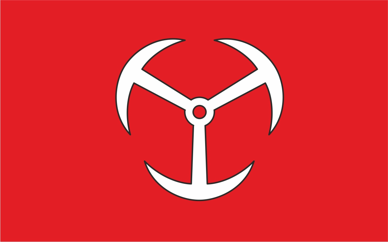 Flaga miasta Brzeg / projekt