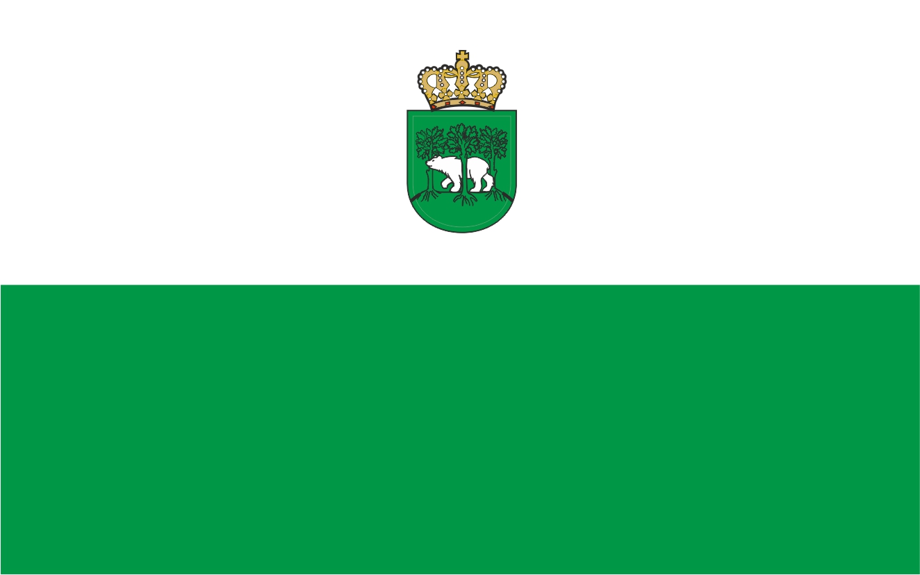 Flaga miasta Chełm / projekt