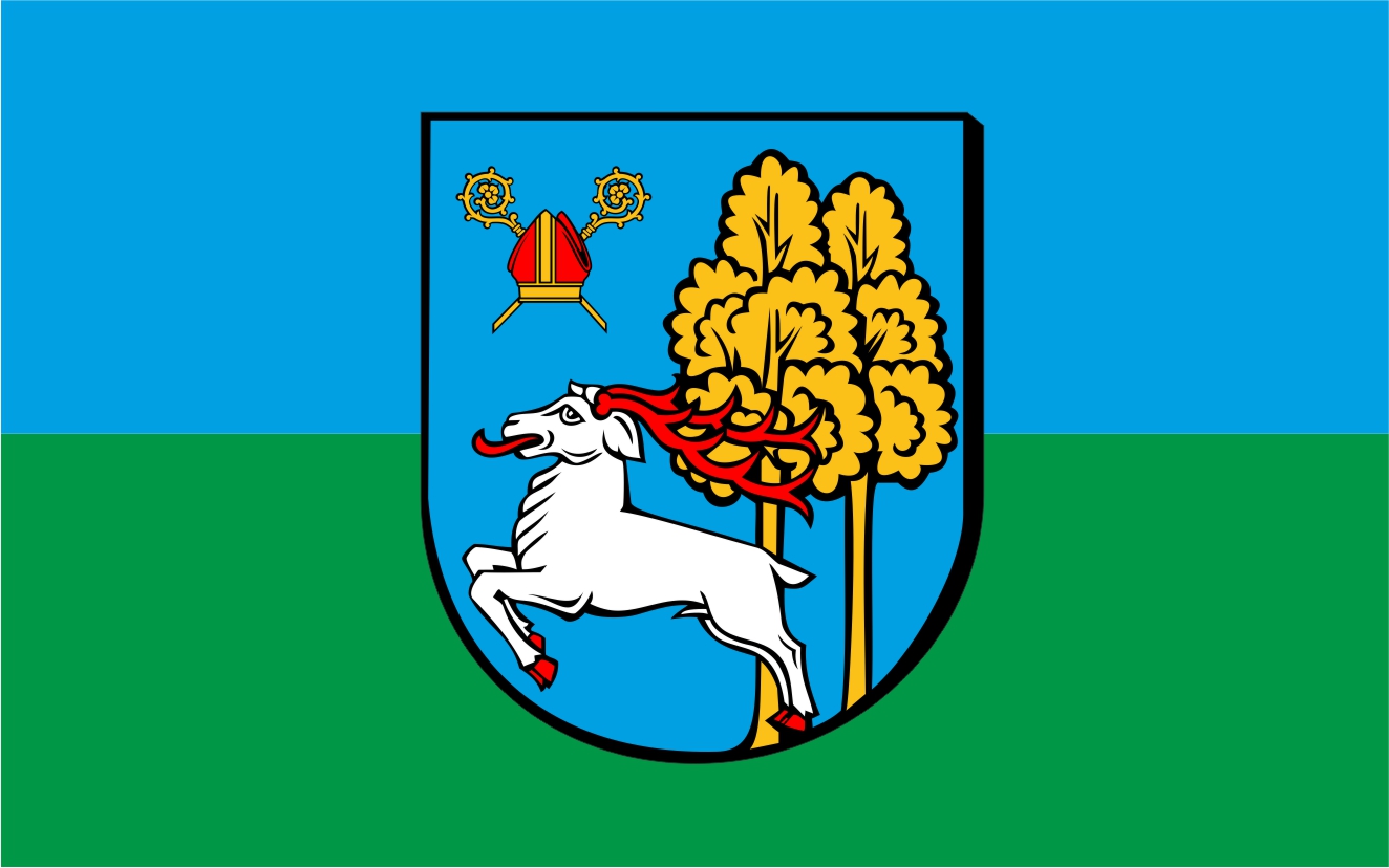 Flaga miasta Ełk / projekt