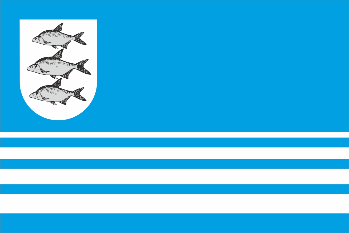 Flaga miasta Giżycko / projekt