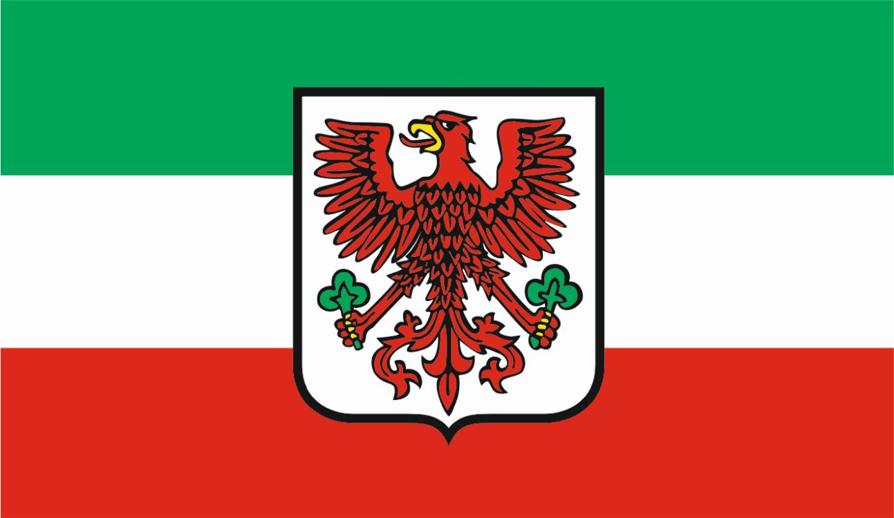 Flaga miasta Gorzów Wielkopolski / projekt