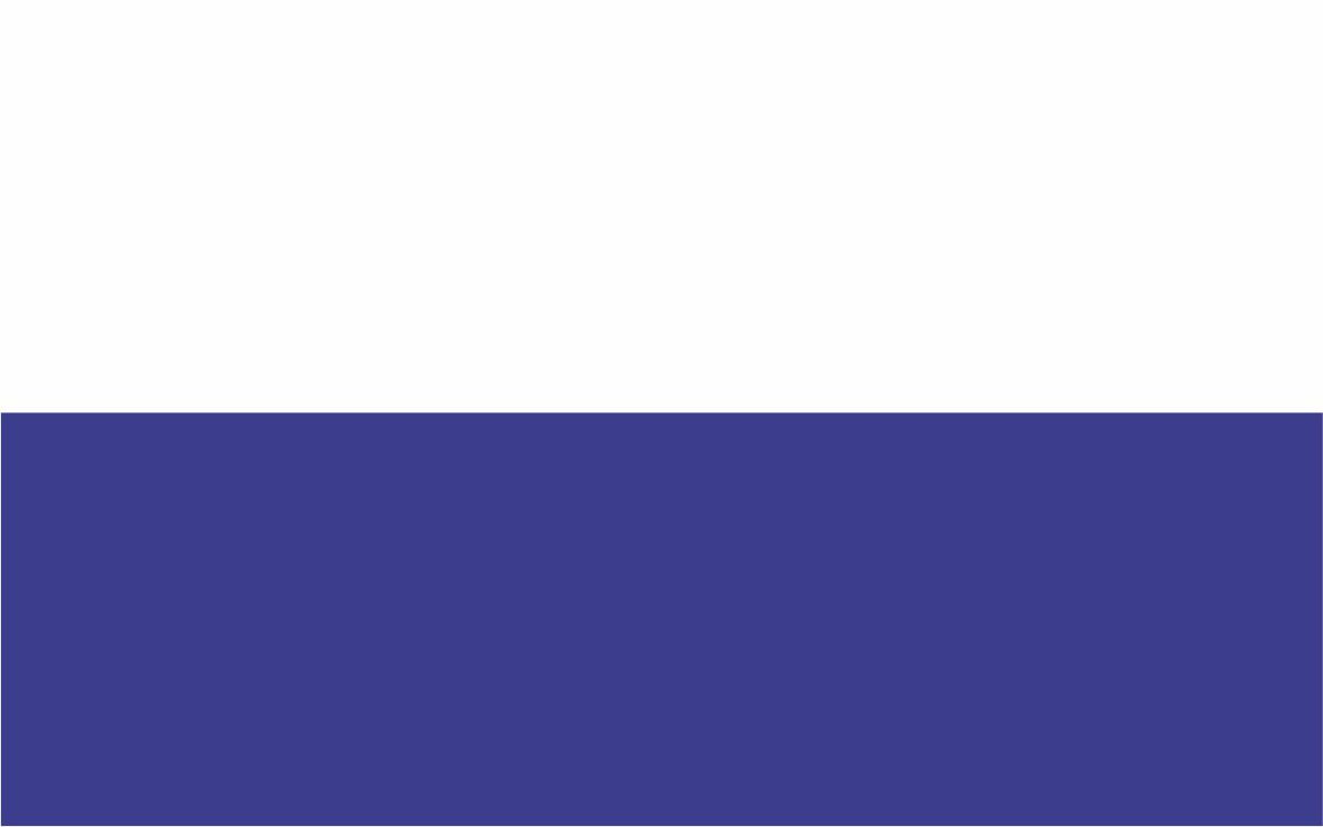Flaga miasta Kraków / projekt