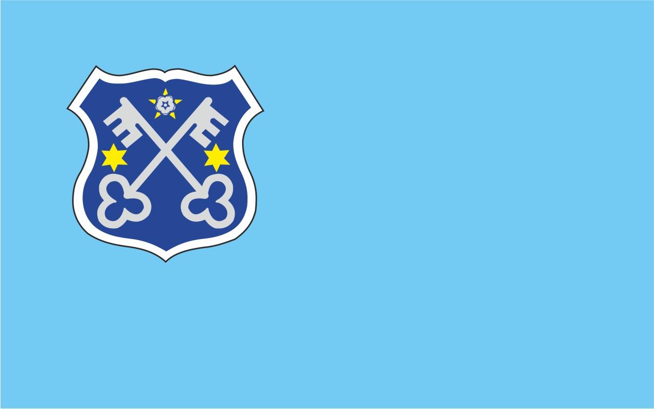 Flaga miasta Krotoszyn / projekt