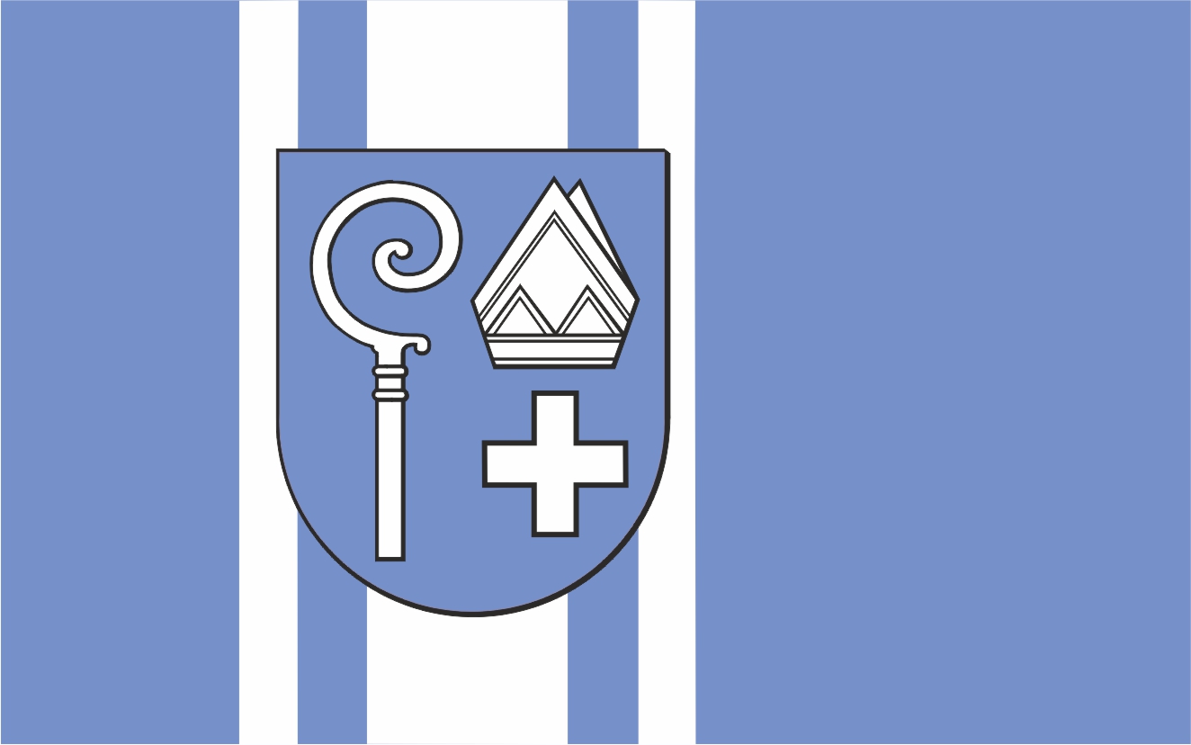 Flaga miasta Kwidzyń / projekt