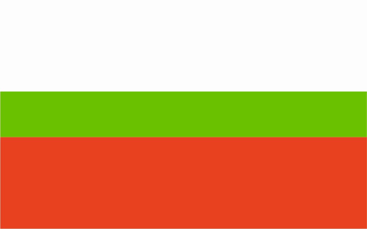 Flaga miasta Lublin / projekt