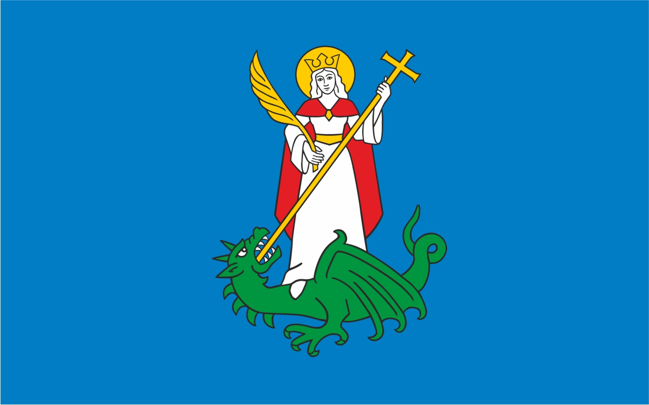 Flaga miasta Nowy Sącz / projekt