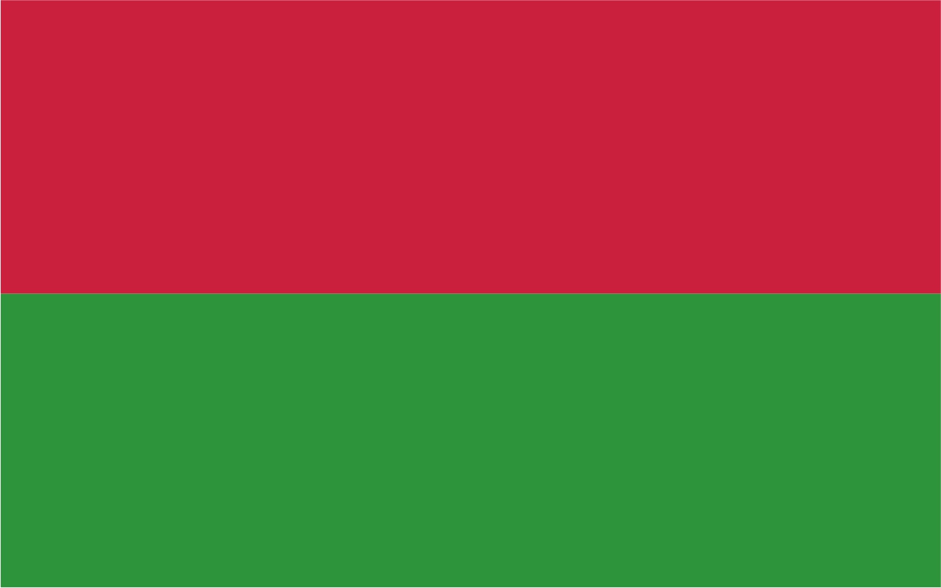 Flaga miasta Piaseczno / projekt