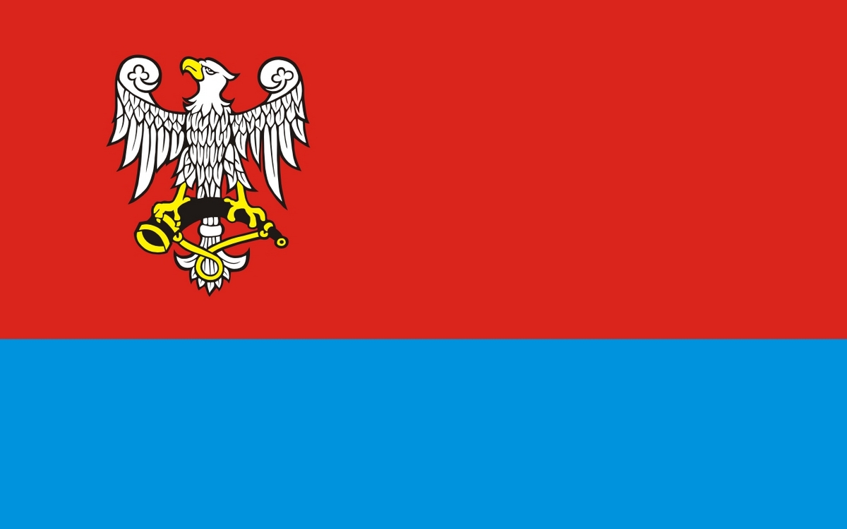 Flaga miasta Połaniec / projekt