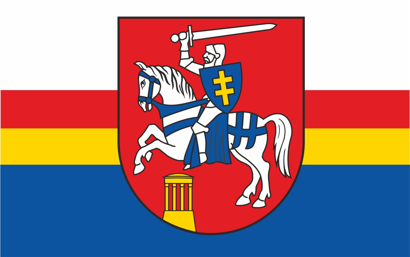 Flaga miasta Puławy / projekt