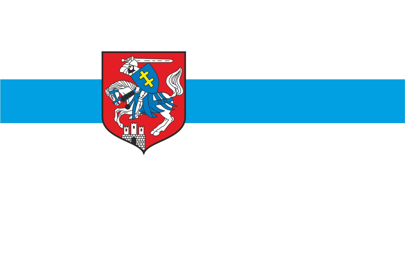 Flaga miasta Siedlce / projekt