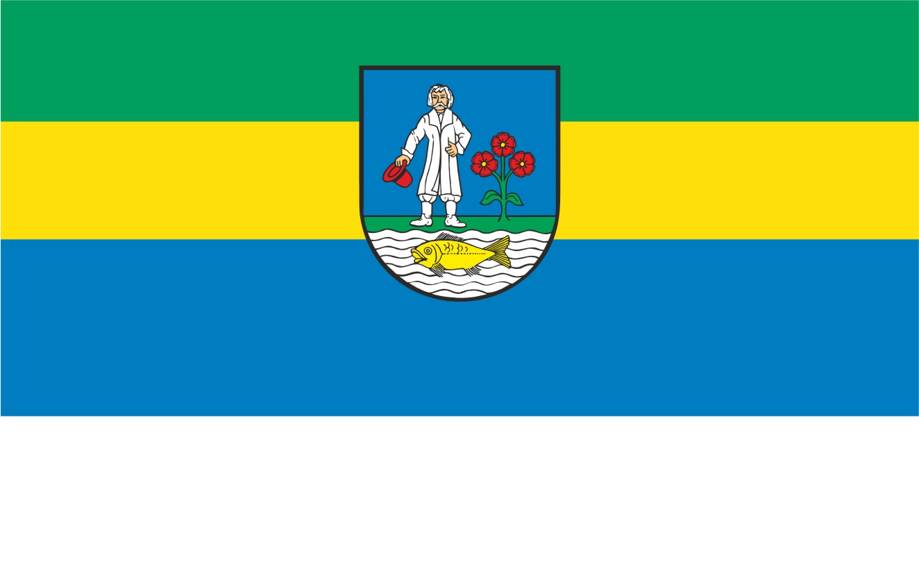 Flaga miasta Siemianowice Śląskie / projekt