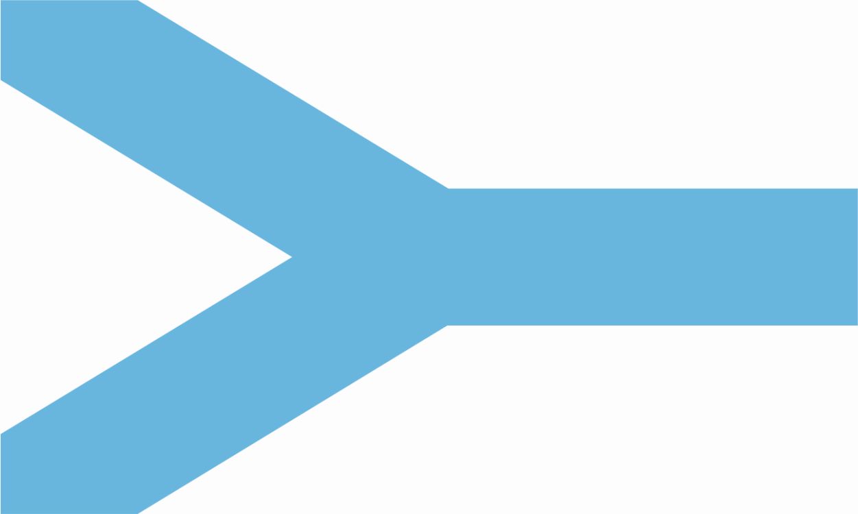 Flaga miasta Sosnowiec / projekt