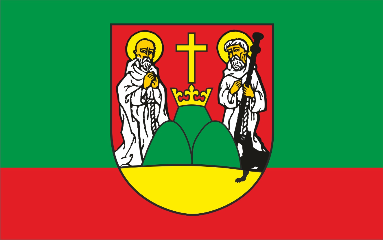 Flaga miasta Suwałki / projekt