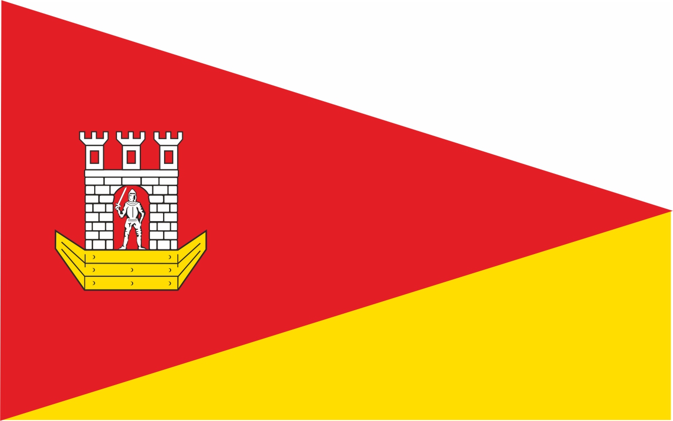 Flaga miasta Swarzędz / projekt