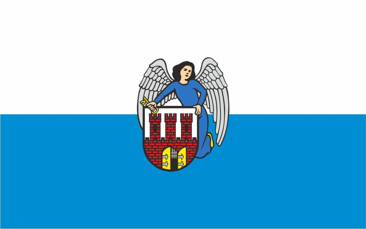 Flaga miasta Toruń / projekt