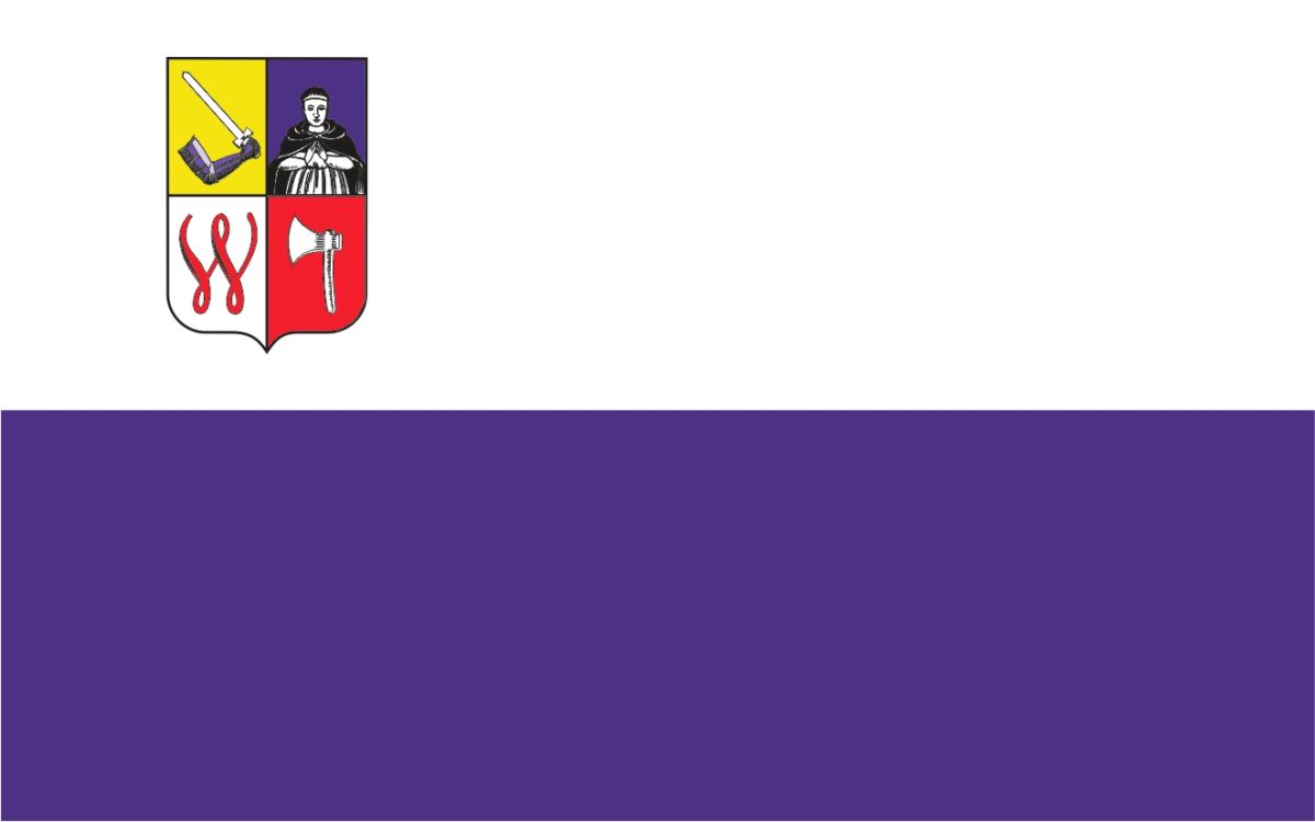Flaga miasta Wągrowiec / projekt