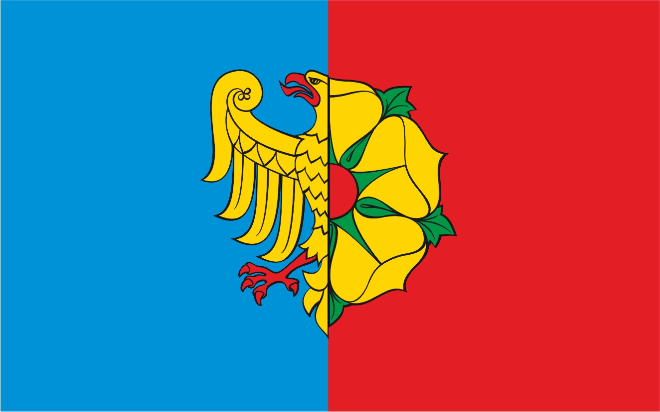 Flaga miasta Wodzisław Śląski / projekt