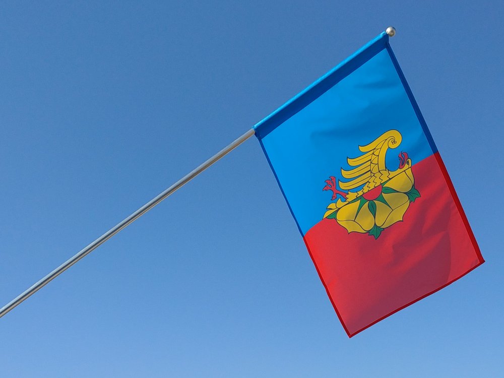 Flaga miasta Wodzisław Śląski / realizacja