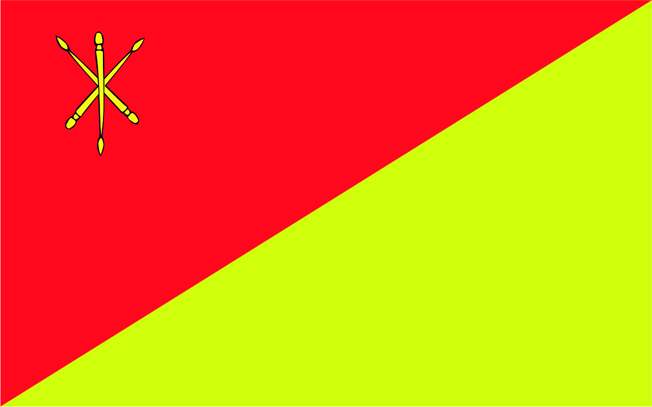 Flaga miasta Zamość / projekt