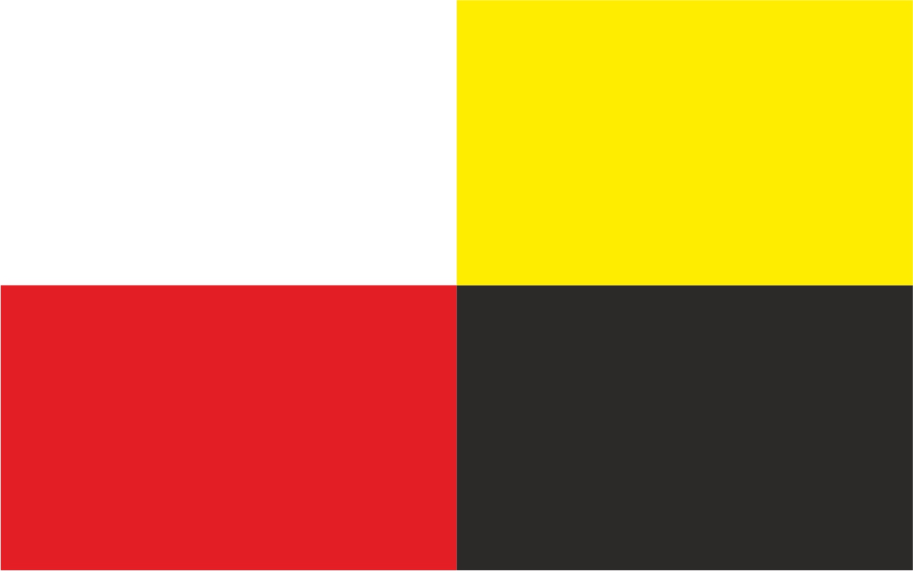Flaga miasta Żary / projekt