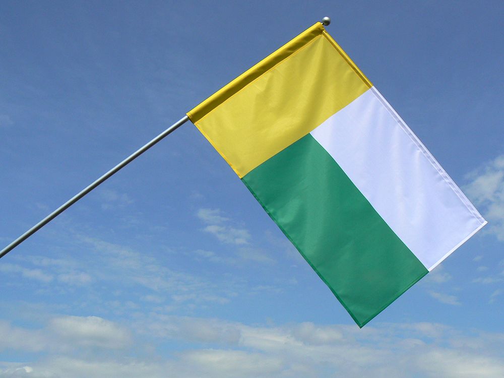 Flaga miasta Zielona Góra / realizacja