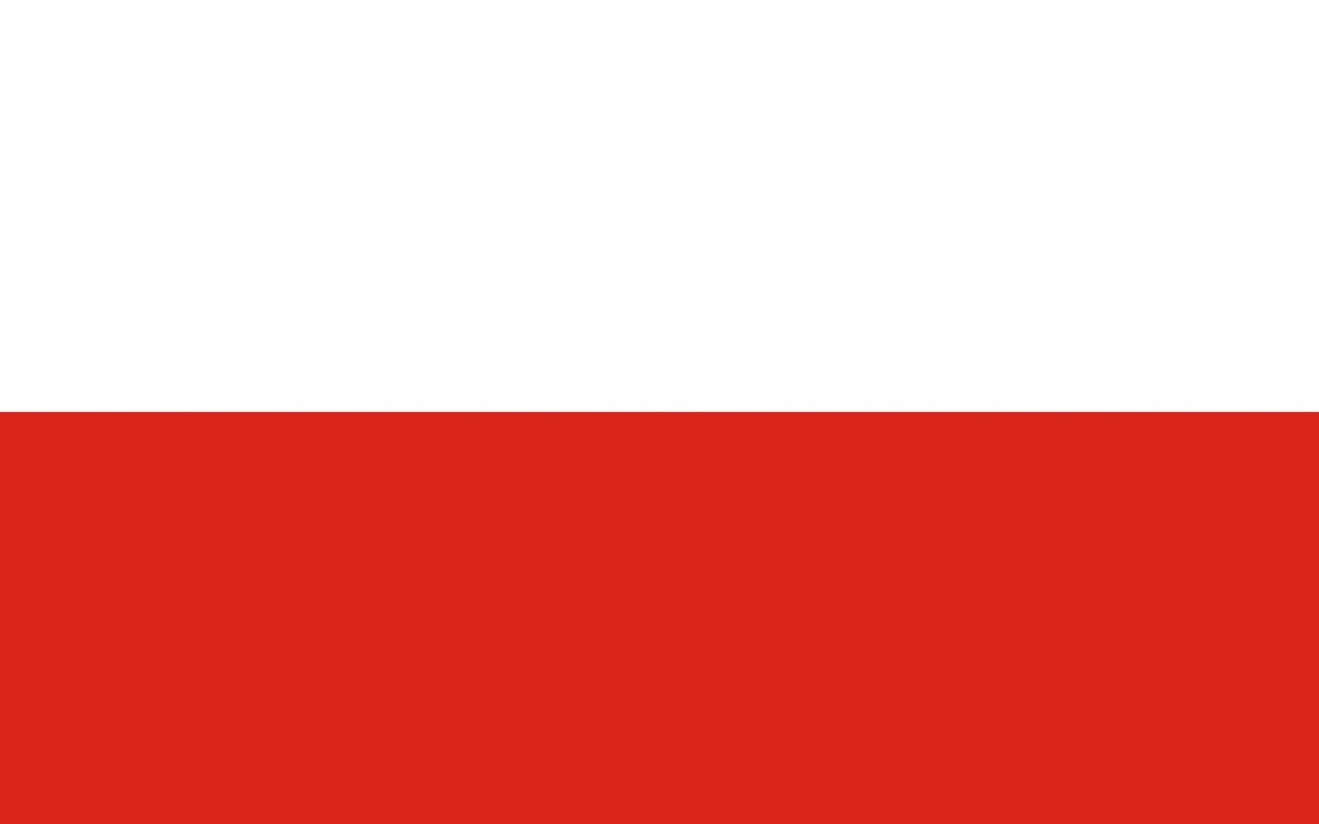 Flaga Polski / projekt