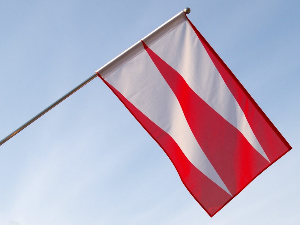 Flaga Polskiego Towarzystwa Weksylologicznego / realizacja