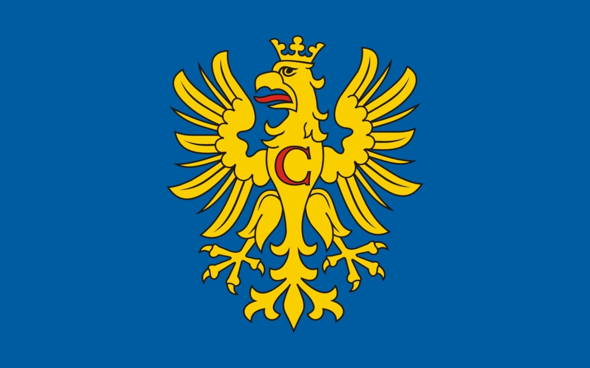 Flaga powiatu cieszyńskiego / projekt