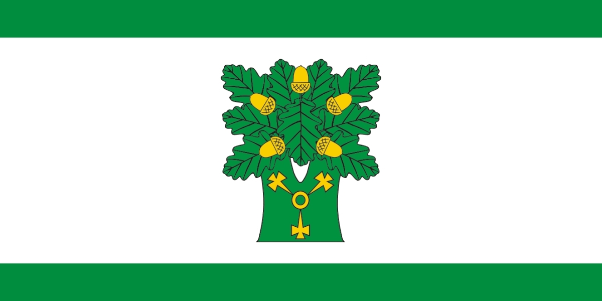 Flaga urzędu Gminy Ojrzeń / projekt