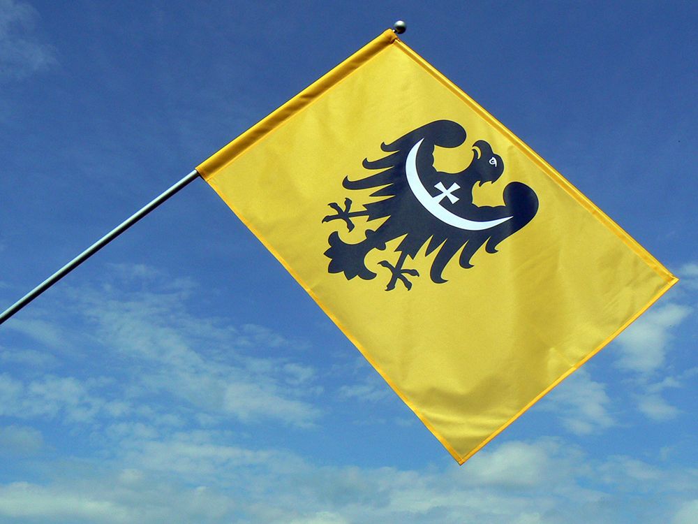 Flaga województwa dolnośląskiego / realizacja