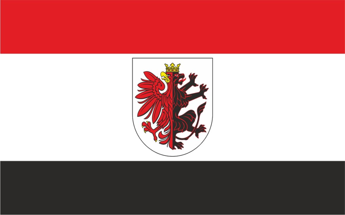 Flaga województwa kujawsko-pomorskiego / projekt